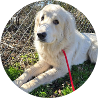 Donate_Fundraise